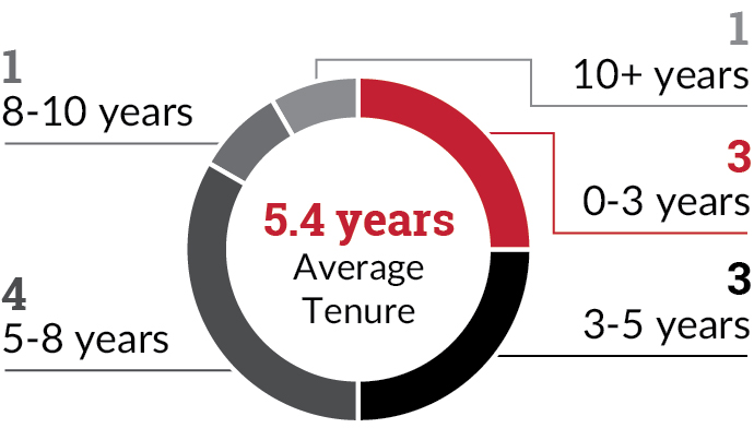 piechart_tenurexpg192.jpg